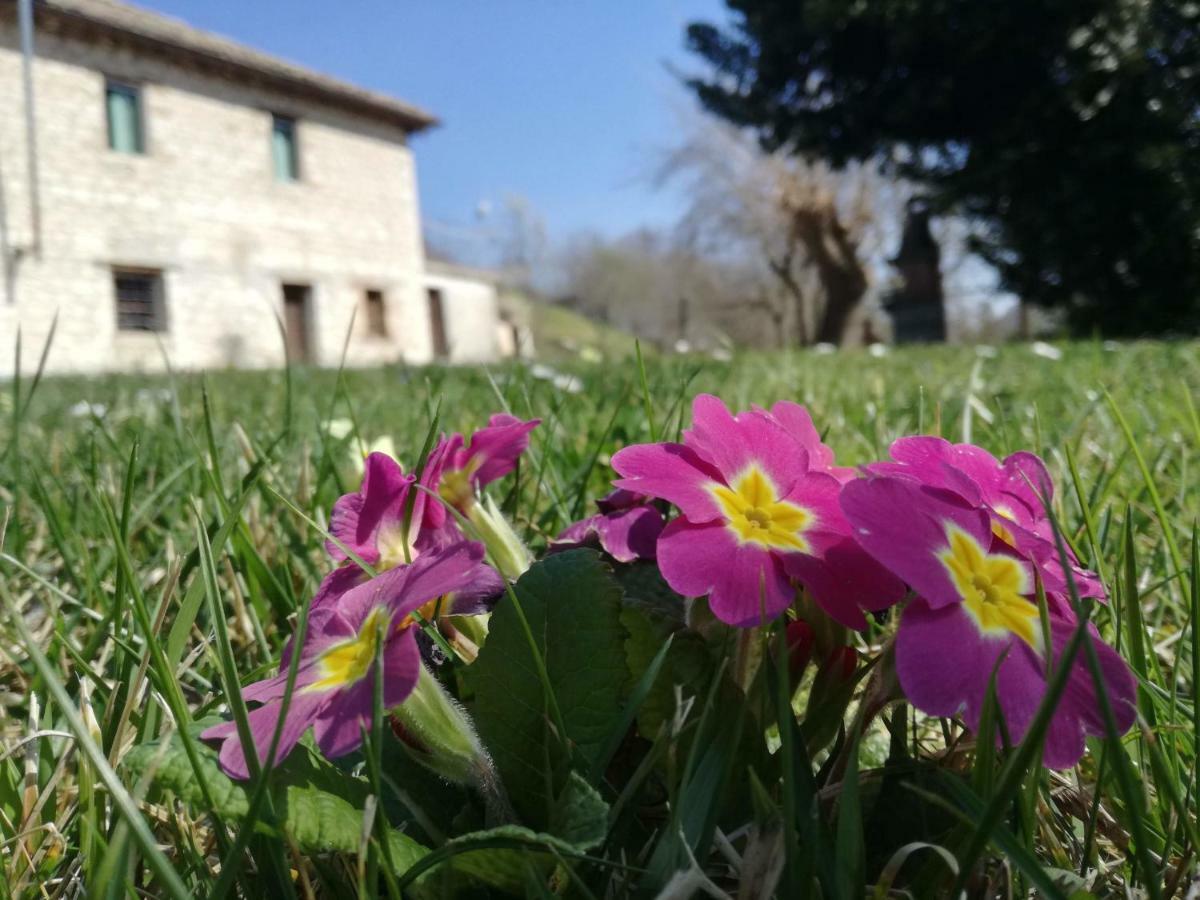 Casa Sponge B&B Pergola Zewnętrze zdjęcie